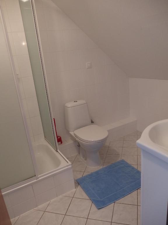 Penzion U Studanky Karlovy Vary Room photo