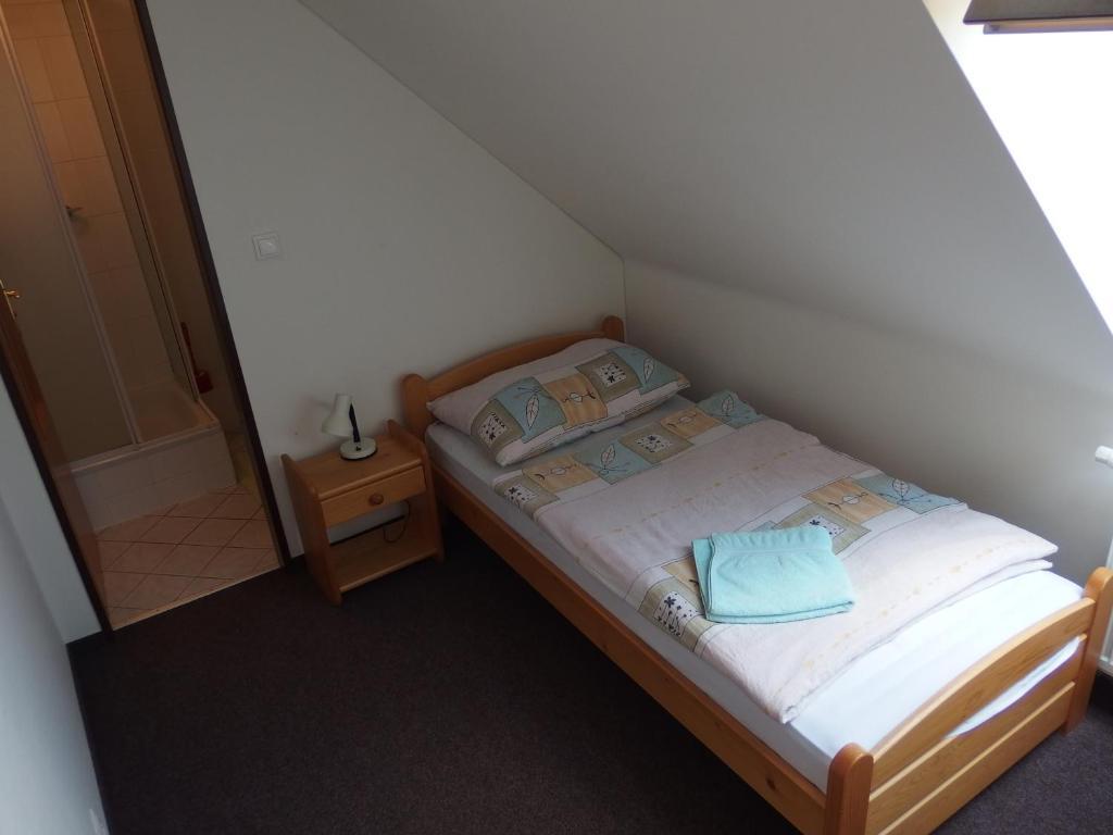 Penzion U Studanky Karlovy Vary Room photo